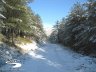 Vista del sentiero verso il Monte Rotondo