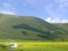 Scorcio dalla Piana di Castelluccio sul ''Bosco Italia''