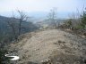 Radura con vista sul costone del Poggio Rotto